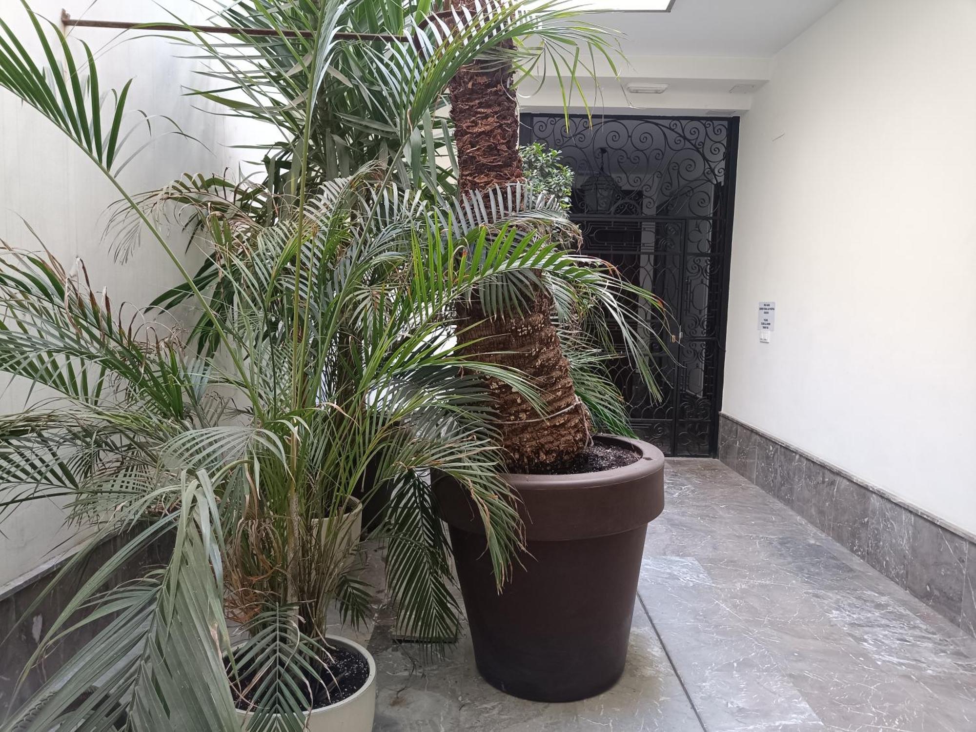 Apartamentos Luxury Puente De Triana Seville Exterior photo